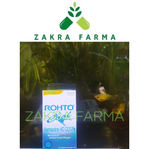 ROHTO COOL OBAT TETES MATA