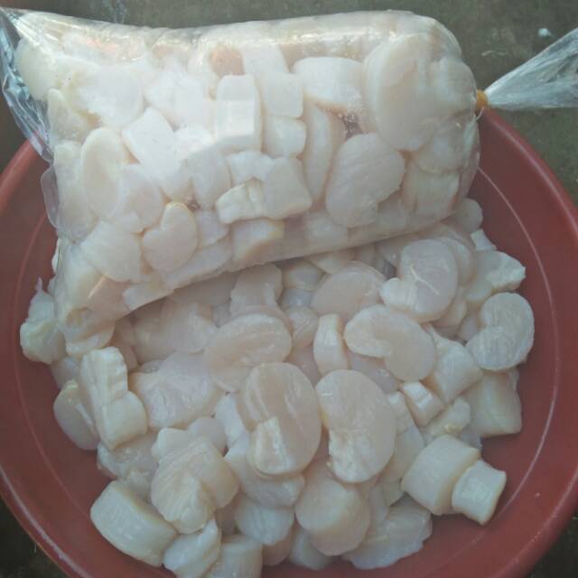

Scallop/daging kerang kampak