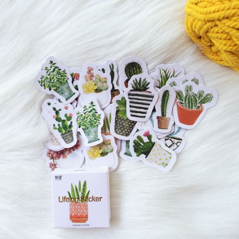 

Sticker Cute Cactus Stationery Murah Kaktus