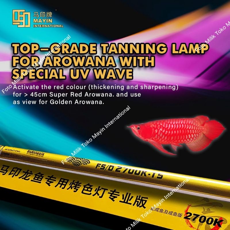 LAMPU TANNING MAYIN INTERNASIONAL 2700K TABUNG FUORESCENT T5 LAMPU TANNING IKAN ARWANA SUPER RED