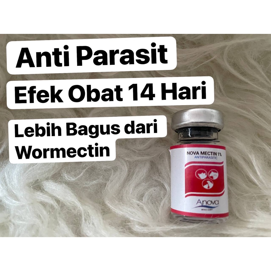 NovaMectin Lebih Bagus dari Wormectin Obat Scabies Hewan