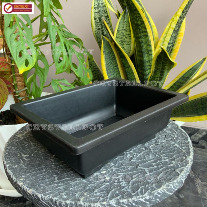 pot bunga tanaman ceper NKT BONSAI 01 HITAM - NKT BONSAI 01 HITAM