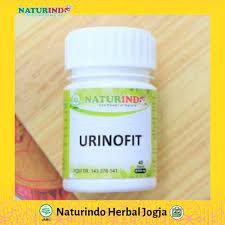 Urinofit (ginjal)