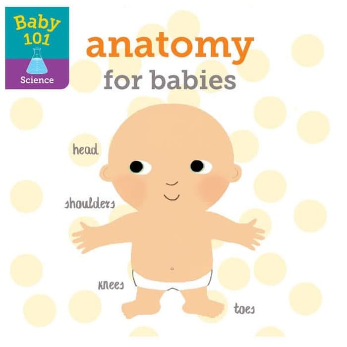 Baby 101 : Anatomy for Babies