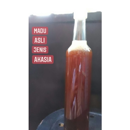 

madu asli akasia