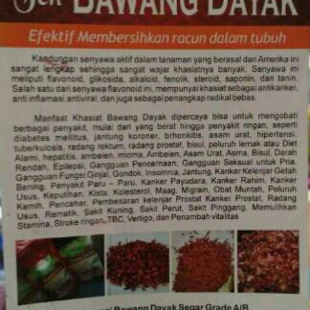 

Bawang dayak / Bawang Berlian / Bawang Tiwai Segar