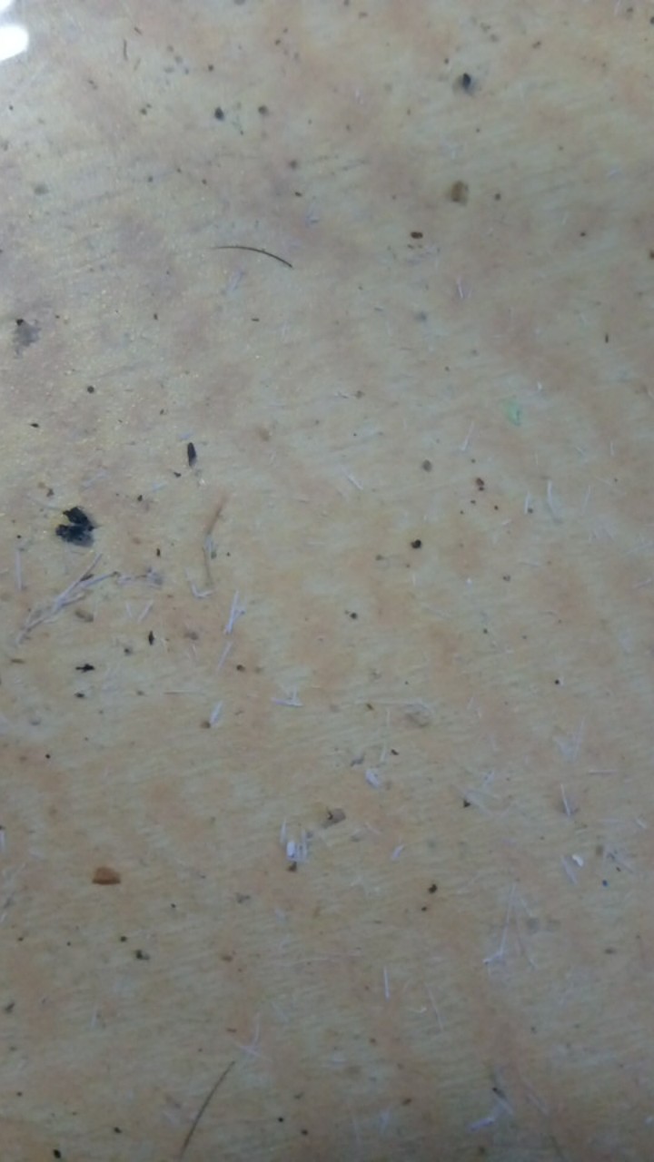 Shanaya Batik Tunik Tenun Kombinasi Toyobo Premium Mirea Size S M L Xl Xxl