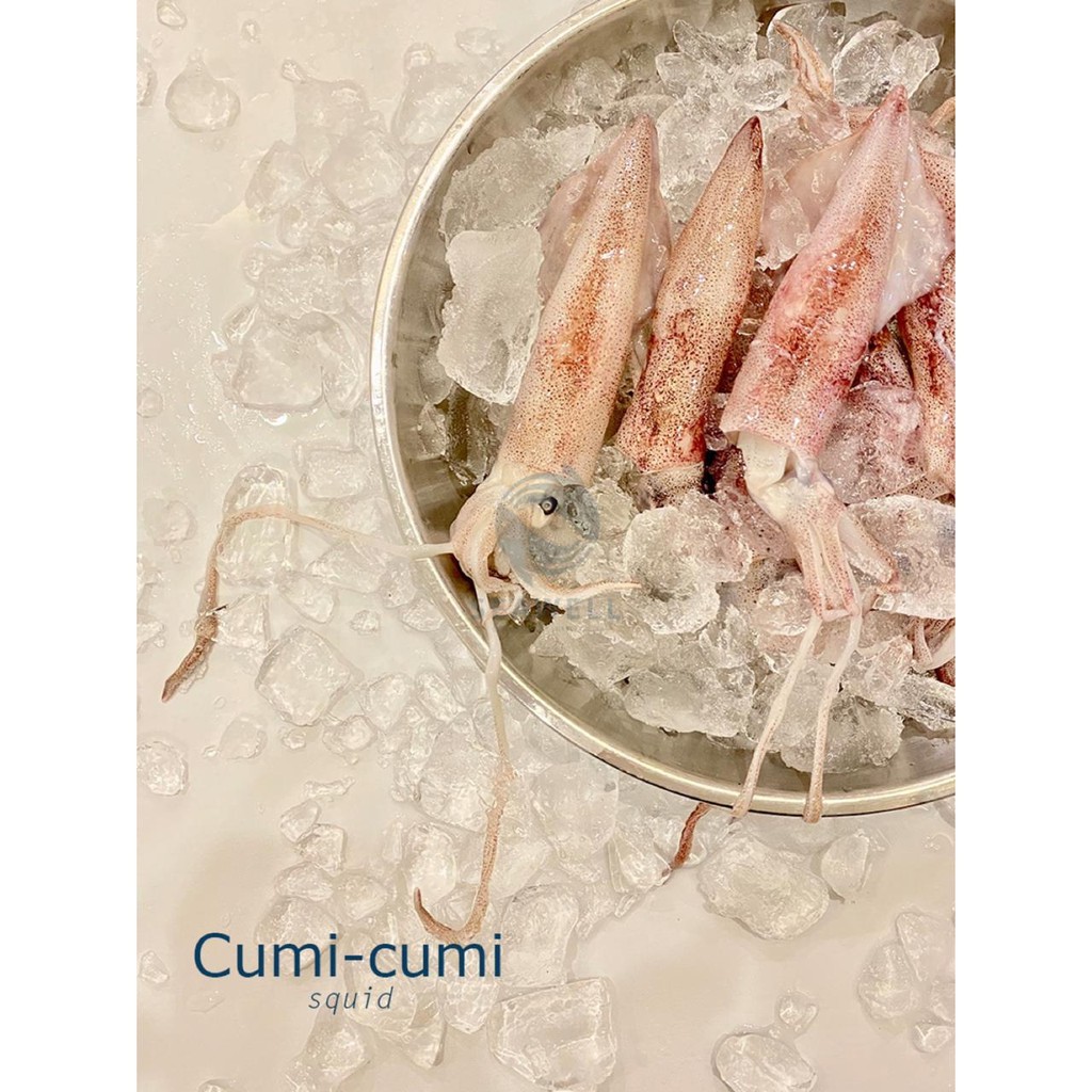 

SEAWELL Frozen Seafood Cumi Frozen/Beku
