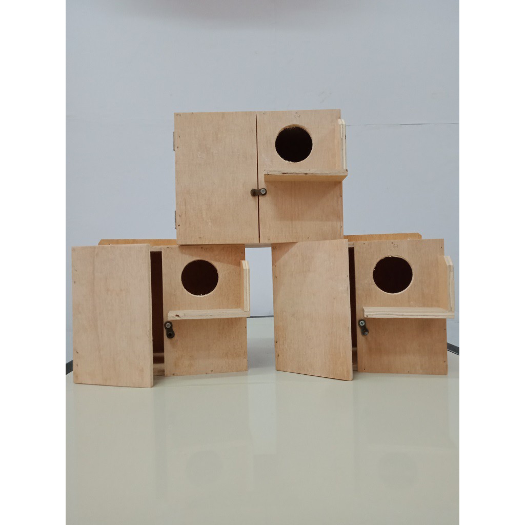 glodok burung love bird