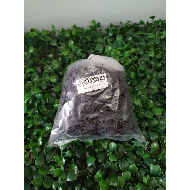 

kismis lion 250gram repack