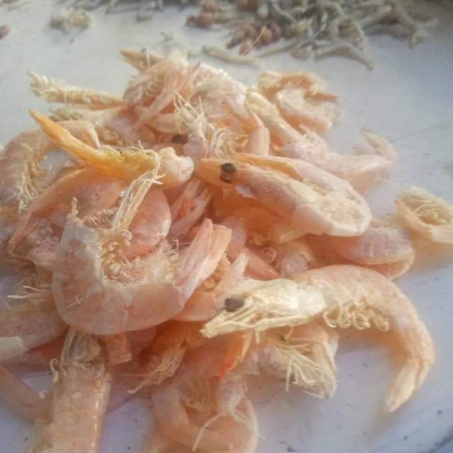 

Udang manis tawar jamin murah