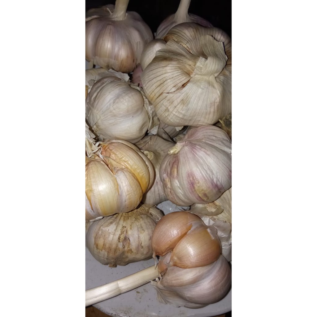

BAWANG PUTIH HONAN 250 GRAM