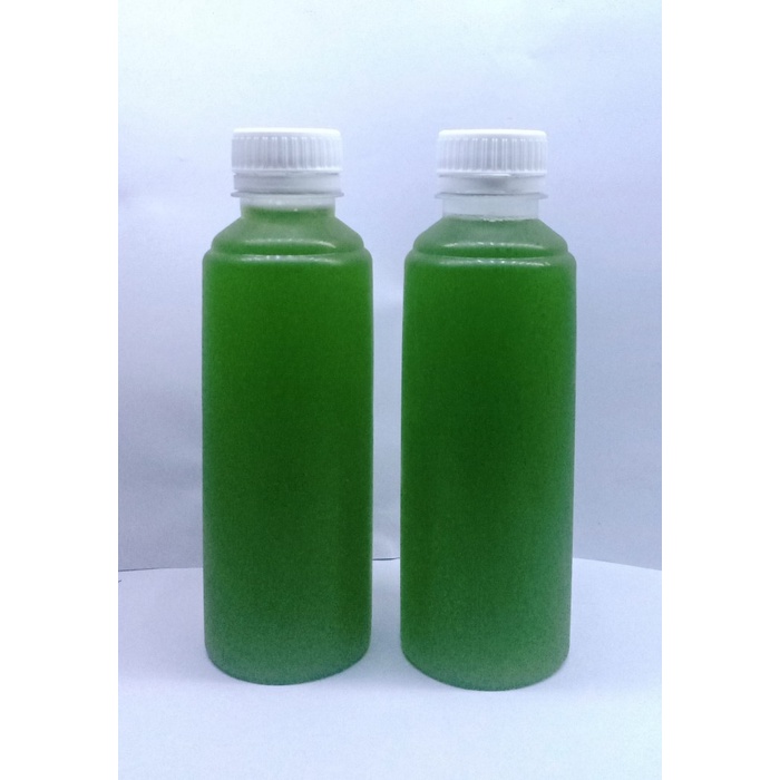 Phytoplankton-Chlorella Vulgaris