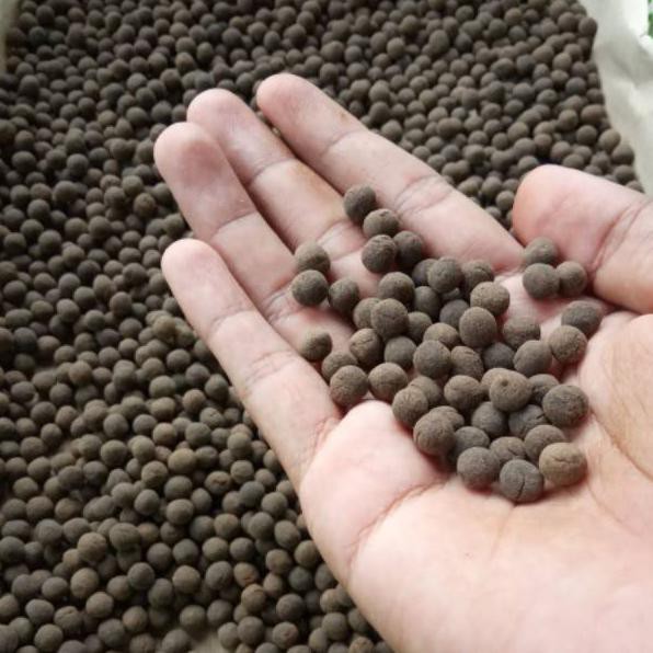 Terlaris Today] Pil D'SM sehat merpati jamu merpati pil merpati dsm pil sm