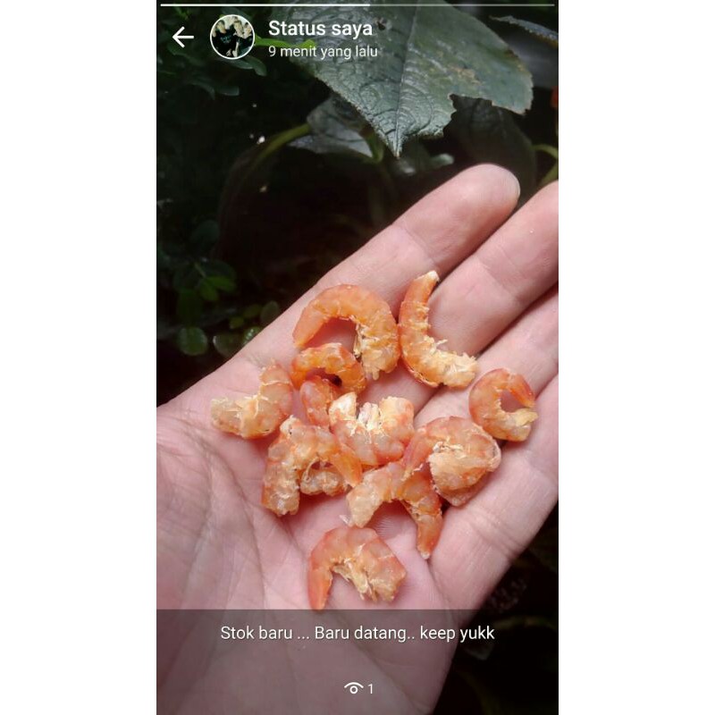 

ebi-hebi-udang kering oranye super