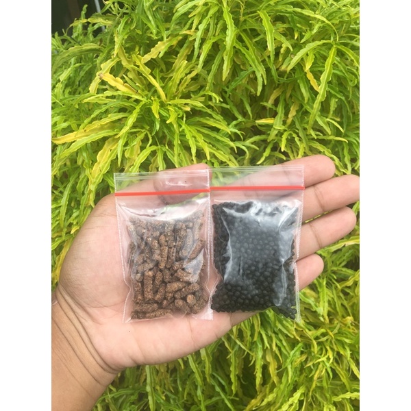 PELET JAHAT PELET VIRUS FAJAR ARIEF REPACK 10gram MURAH ORIGINAL