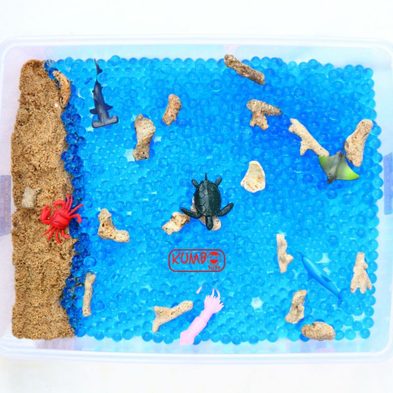 Ocean Sensory Box | Mainan Montessori Sensory Play