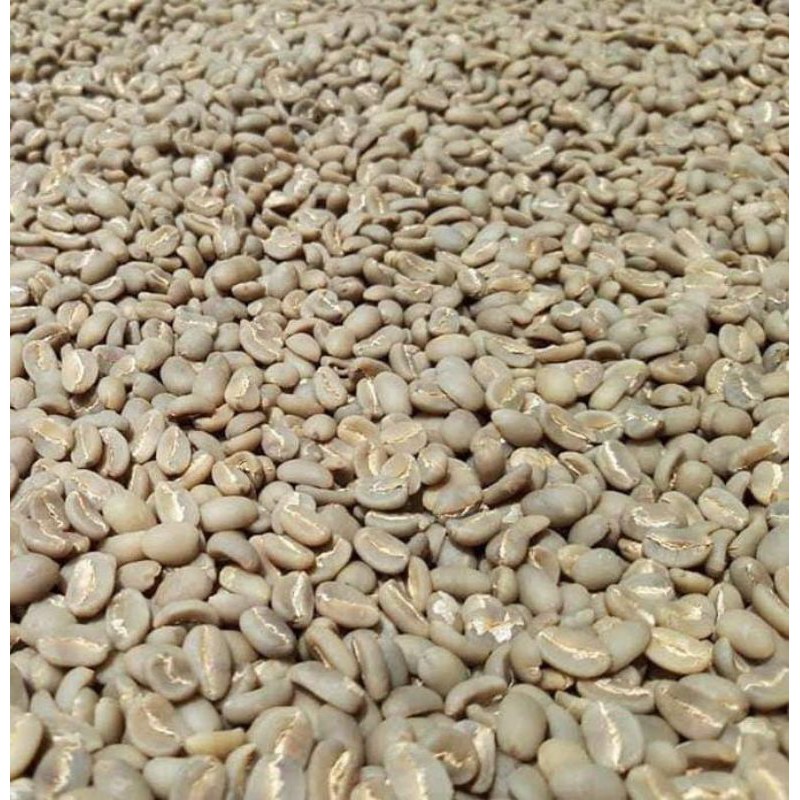 

Greenbean Kopi Luwak Super