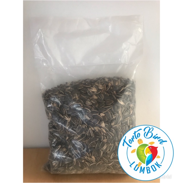 

Kwaci kualitas super