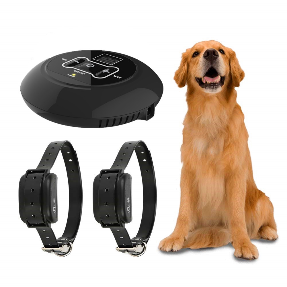 proximity shock collar for dogs