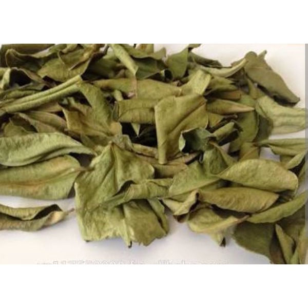 

DAUN JERUK KERING | REMPAH HERBAL | 100% PRODUK ORIGINAL