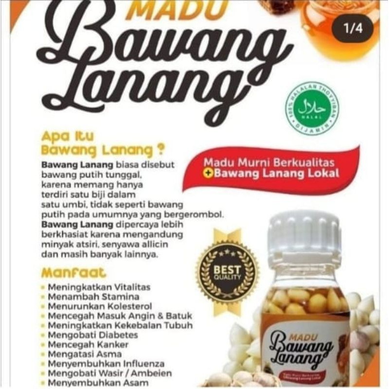 

Madu Bawang Lanang (MABALA)