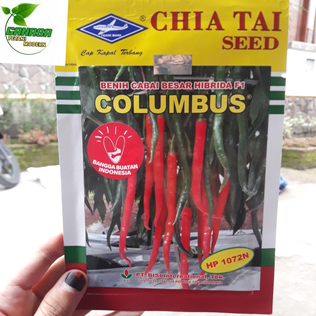 Benih Cabai Besar / Cabe Merah Hibrida F1 Colombus