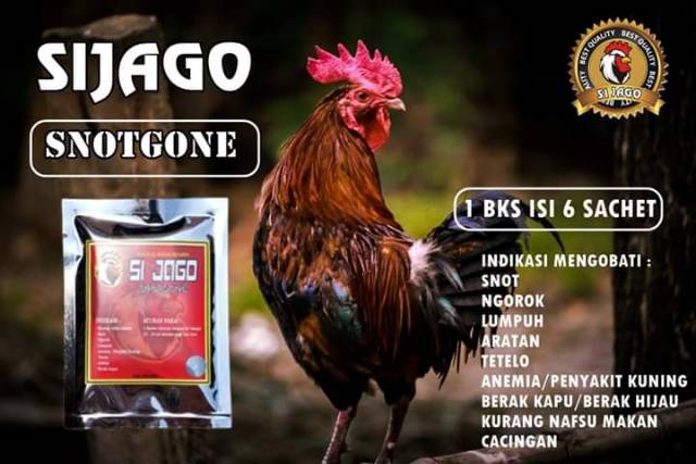 SI JAGO SNOTGONE seperti RAMUAN EDAN