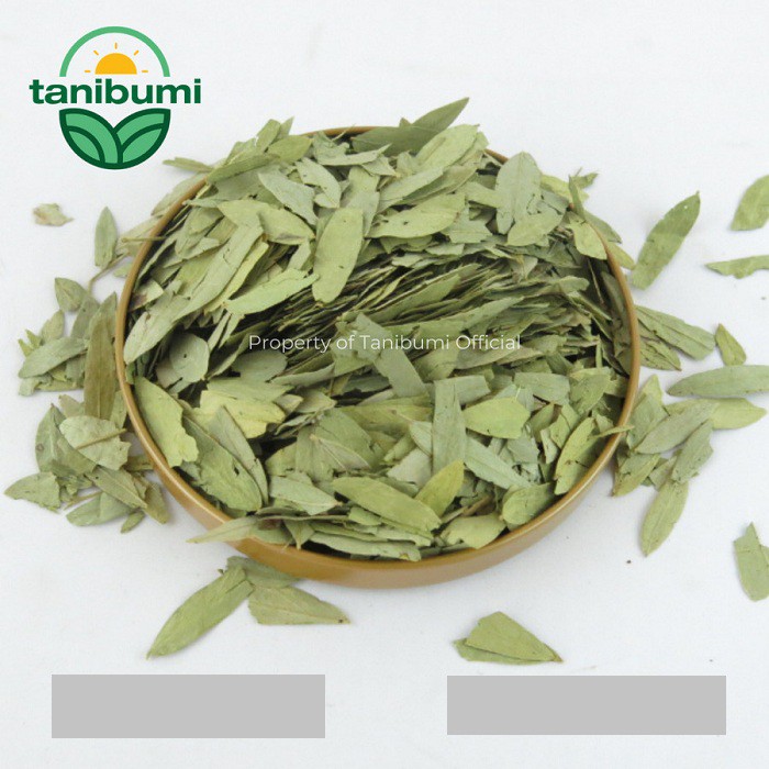 

Daun Jati Cina | 1kg | Teh Herbal Pelangsing Premium