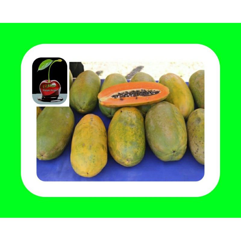

Buah Pepaya Segar Pilihan Terbaik per 1 buah