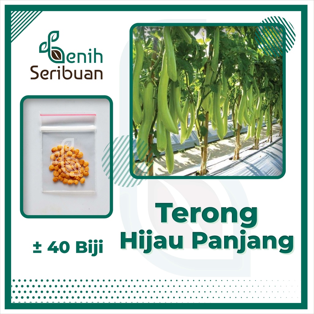 40 Benih Terong Hijau Panjang F1 Unggul Berkualitas - Bibit Tanaman Sayur Sayuran Seribuan