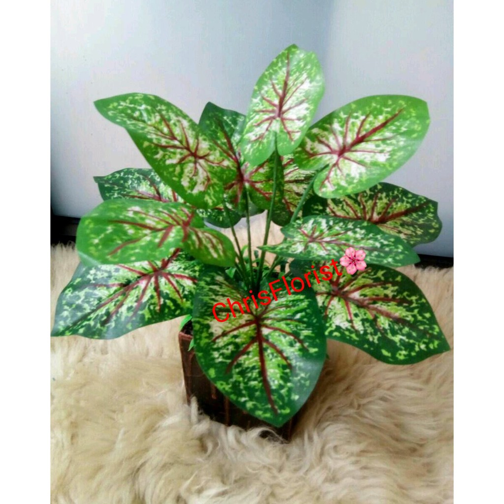 Jual Daun Aglonema Serat Merah Artificial 06 Murah