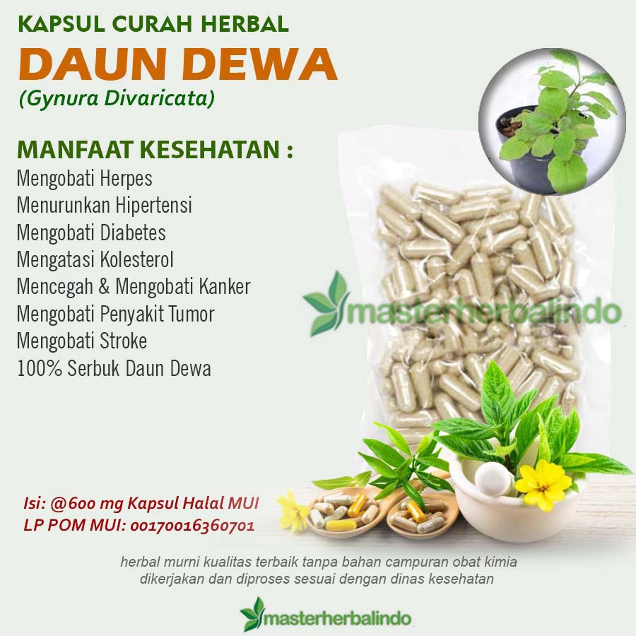 

Kapsul Curah Herbal DAUN DEWA 200x600 mg Stroke Rematik Diabetes Ganglion