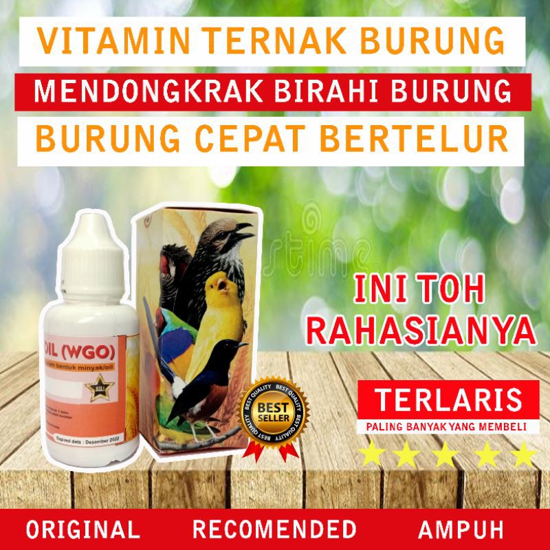 WGO VITAMIN TERNAK BREEDING BURUNG MURAI BATU LOVEBIRD KENARI  CEPAT BIRAHI BERTELUR