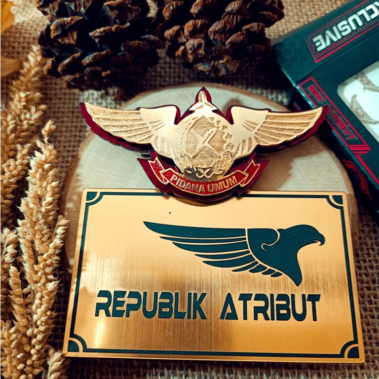 WING KEJAKSAAN PIDUM | PIDANA UMUM