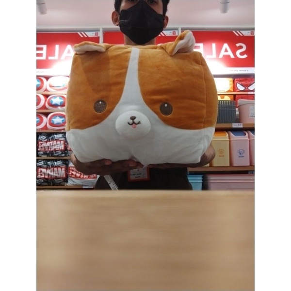 Boneka Lucu Miniso Corgi Square