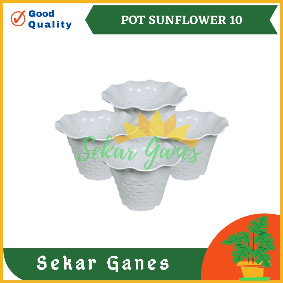 SUN FLOWER MDN 10cm WARNA WARNI Pot bunga Kecil Mini Pot Kaktus TERMURAH