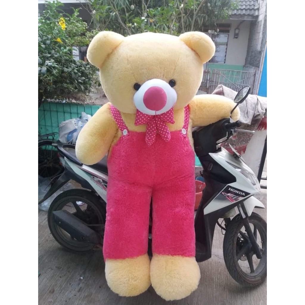 teddy bear jumbo pink