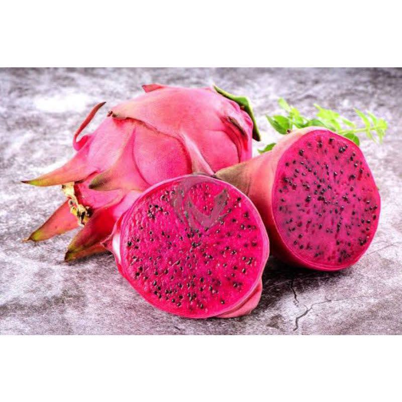 

buah naga Hasil Kebun Sendiri