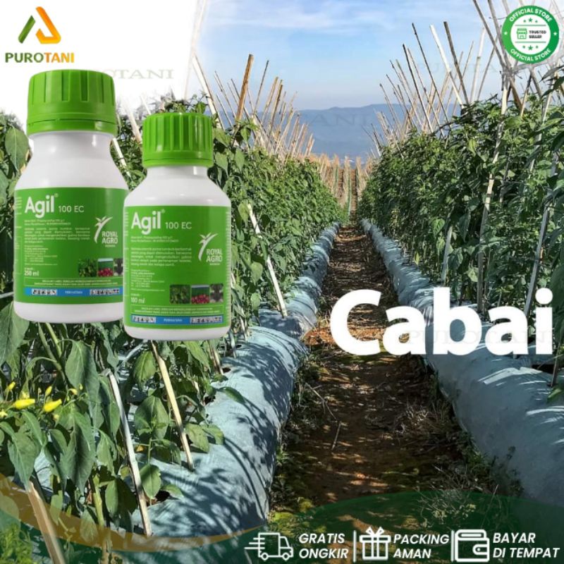 Obat rumput herbisida sistemik AGIL 100ec 100ml