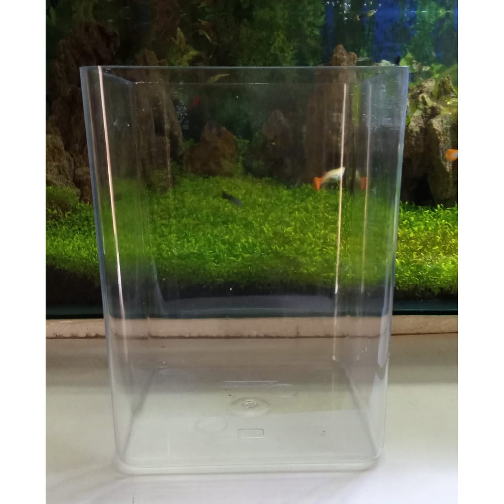 Aquarium Cupang Arkilik 14,5 cm x 14,5 cm x 20cm tebal 2 mm