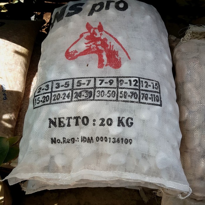 Batu coral italy putih,ukuran jempol kaki