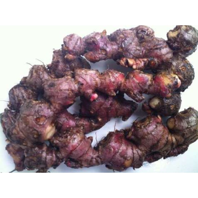 

Jahe merah segar ORGANIK 1000 gr