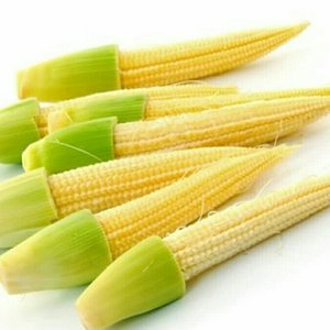 

Jagung semi 250 gram