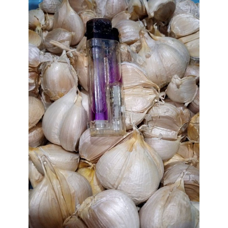 

BAWANG PUTIH | BAWANG MERAH