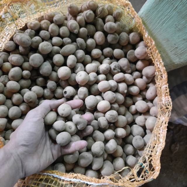

Kentang Kecil / Kentang Rendang / Kentang Ares / Baby potato 1kg