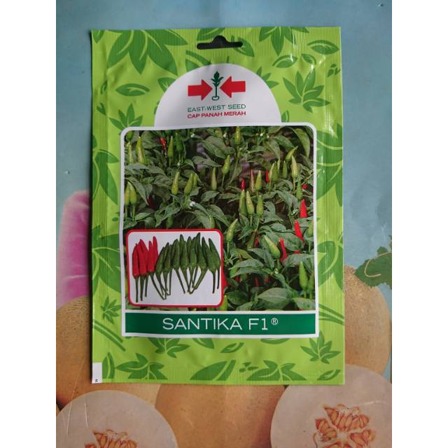 Cabe Rawit Hijau Hibrida SANTIKA F1 350 Biji