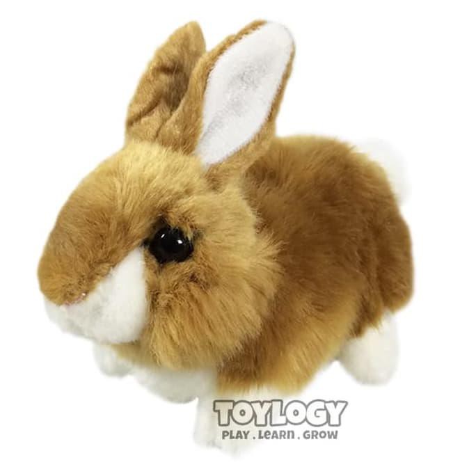 Boneka Kelinci Coklat ( Rabbit Bunny Brown Stuffed Plush Animal Doll )