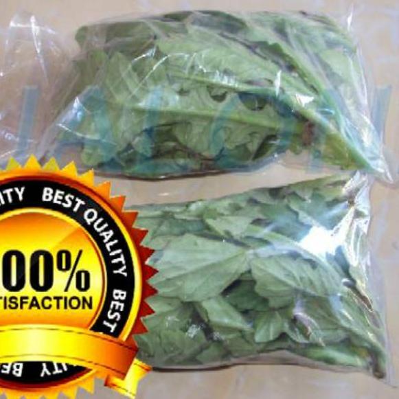 

{A-OPT> {♡> daun dewa segar asli organik 100gram bukan tapak liman tanpa pestisida {berkualitas>