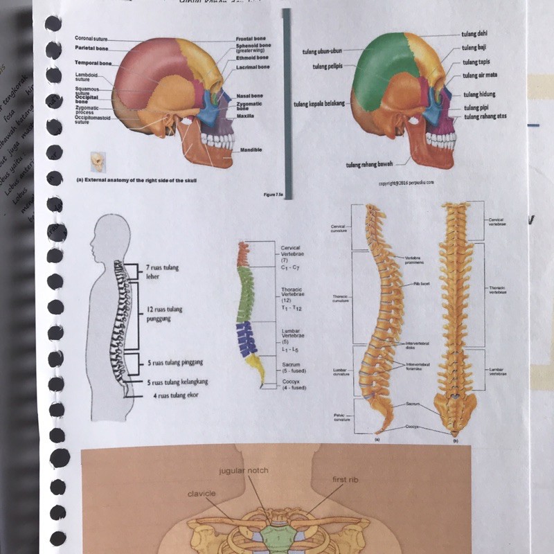 

Jasa Print Kertas Binder B5, Kertas Tebal 100 gsm